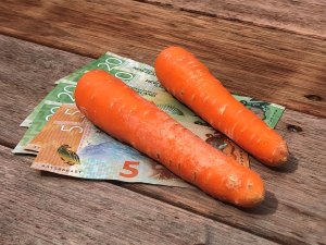 Financial carrot CREDIT jonathan chilton-towle