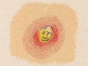 Illustration of whitehead