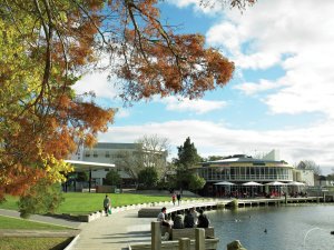 University of Waikato