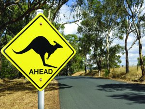 Kangaroo sign 
