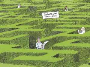 Cartoon Te Whatu Ora payment