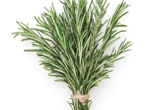Rosemary