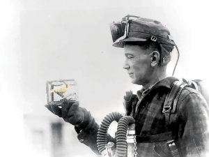 Vaccines_Canary