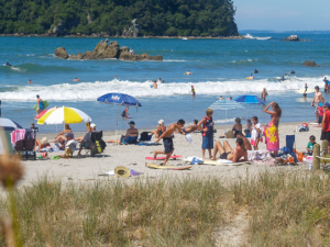 Beach_NZ_Xmas_CR_BrianScantlebury_on_iStock