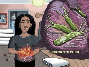 FRAZ_h_pylori