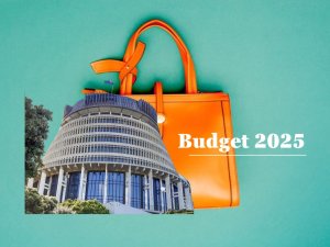 Beehive Budget 2025