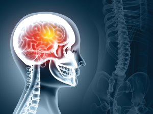 Brain CR Mohammed Haneefa Nizamuden on iStock