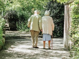 Elderly_Couple_Walking_Trees