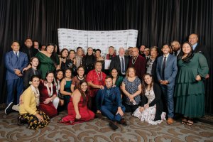 South Seas Healthcare at the NZPHA RGB version