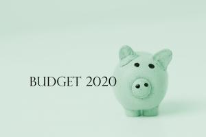 Budget 2020 Piggy_green