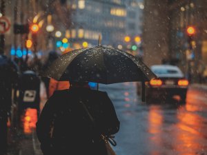 Winter Rain